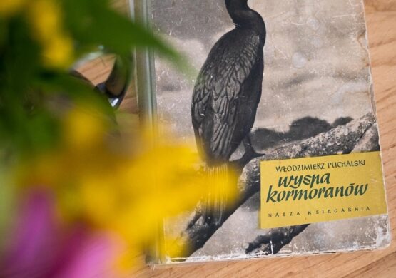 1300x1920_0009_kormoran_7v