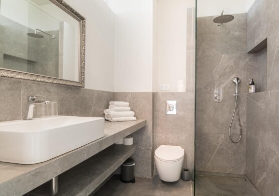 1920x1080_0011_kormoran_4