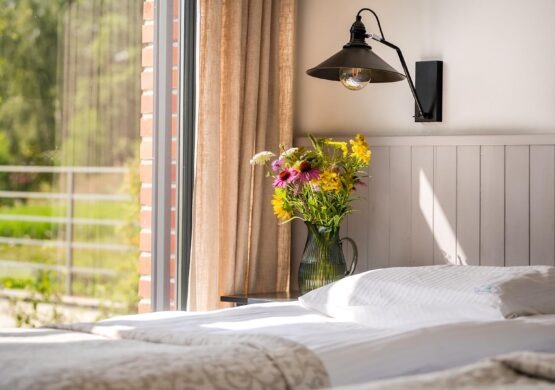 1920x1080_0012_kormoran_5